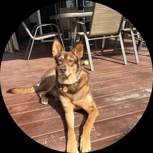 Meet your Posher, Haley